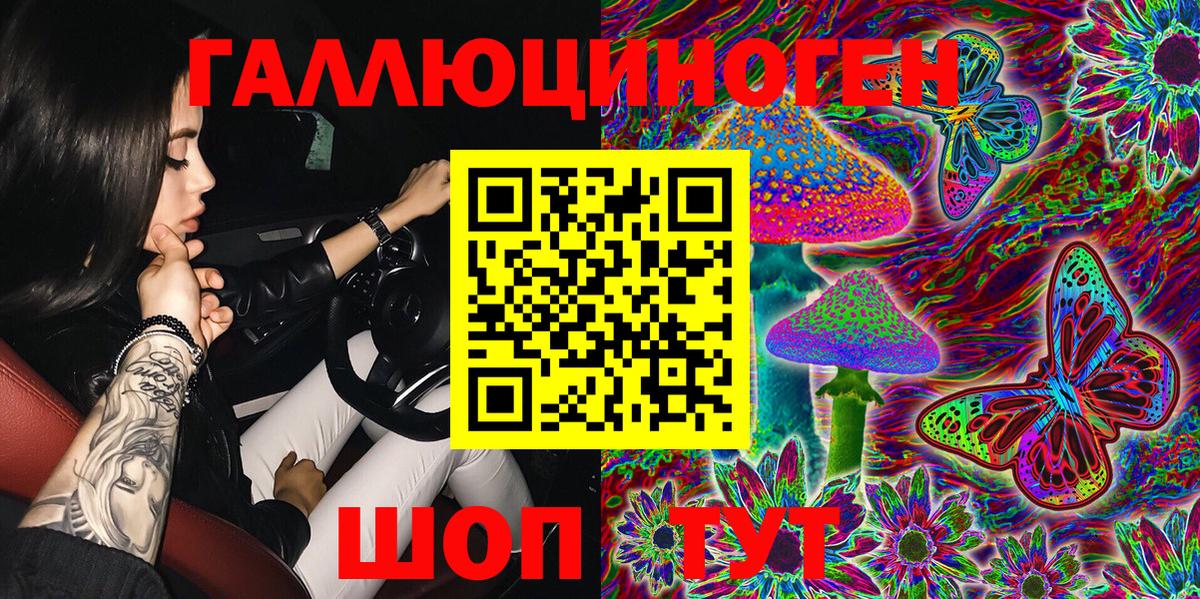 Кулебаки  Псилоцибиновые грибы Cubensis  Вход с VPN 