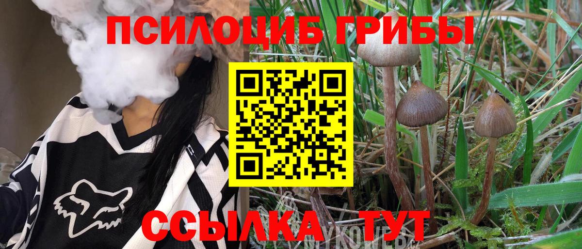 Псилоцибиновые грибы MAGIC MUSHROOMS Кулебаки